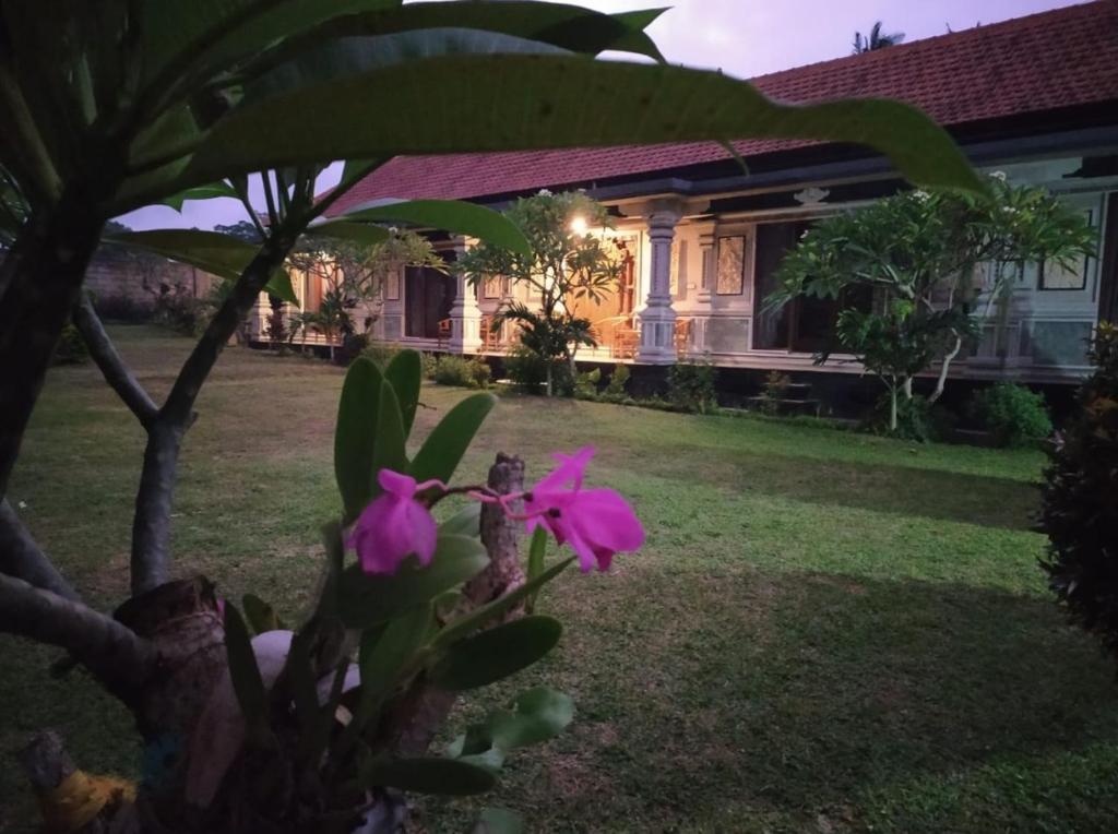 a house with pink flowers in front of a yard at Majestic Heaven Retreat in Ubud