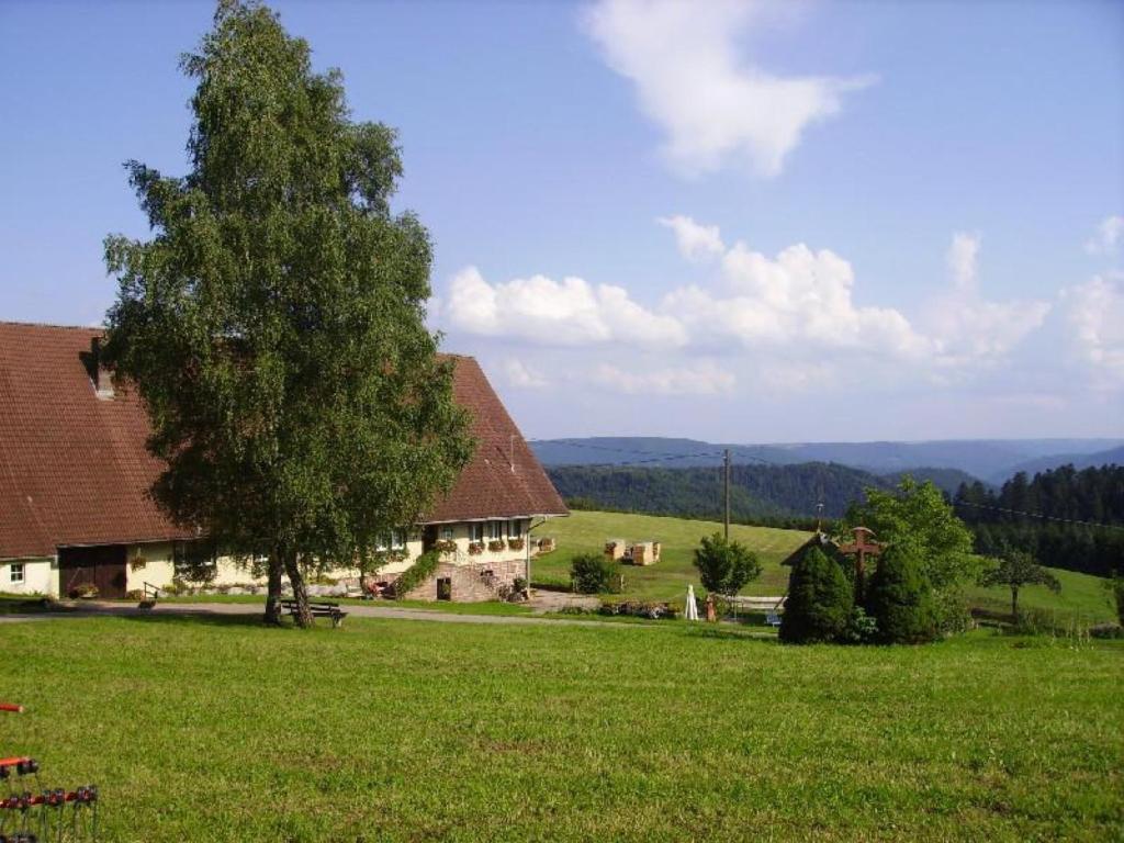 ein Haus mit einem Baum in der Mitte eines Feldes in der Unterkunft Äckerhof in Wolfach