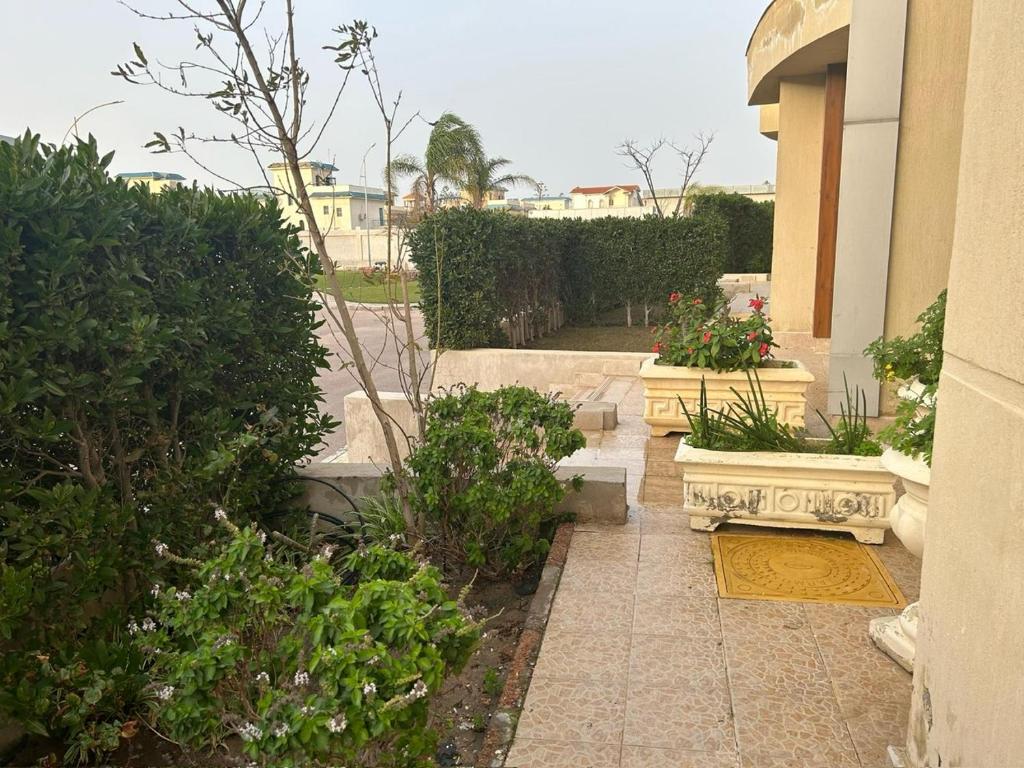 Zahrada ubytování North Coast sedra resort Villa, قرية سيدرا الساحل الشمالي