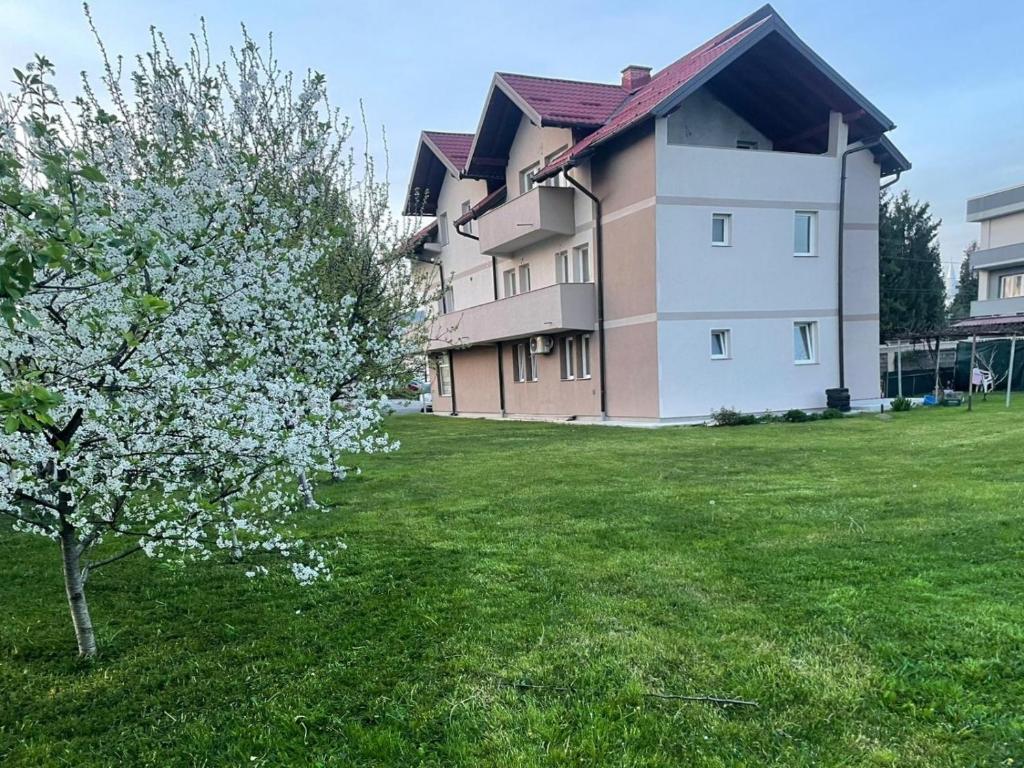 a building with a tree in a field of grass at Villa ED in Sarajevo