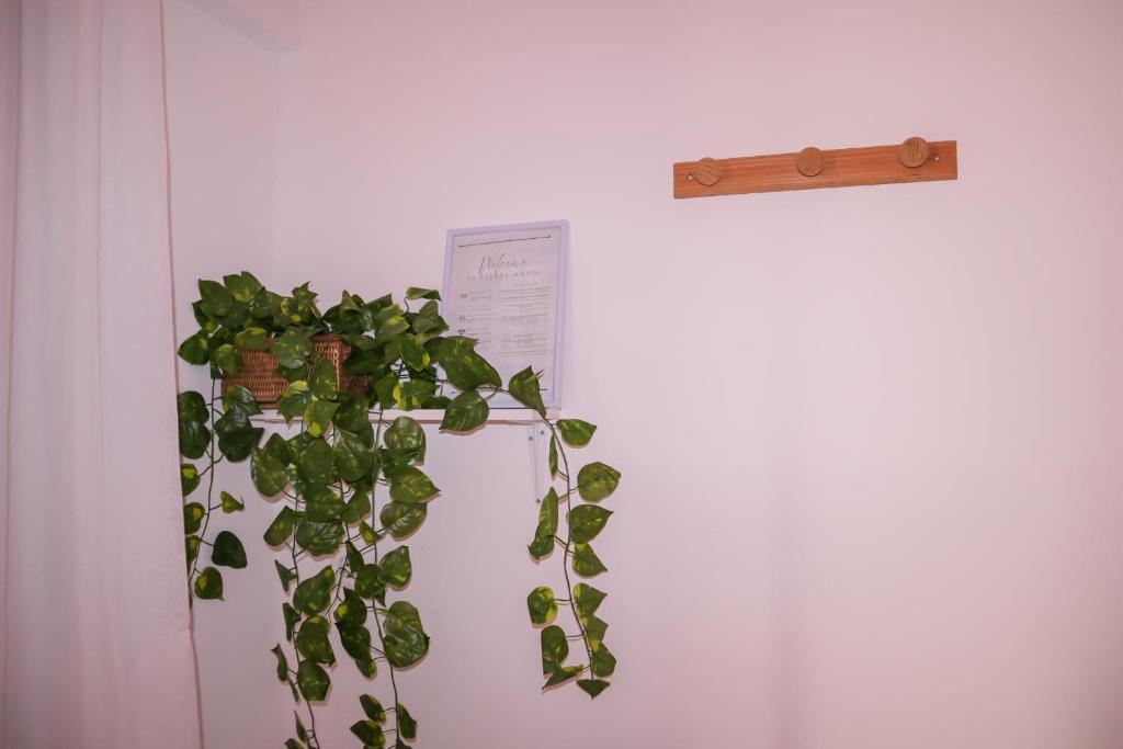 Escape House - Quarto Duplo Com Banheiro Privativo