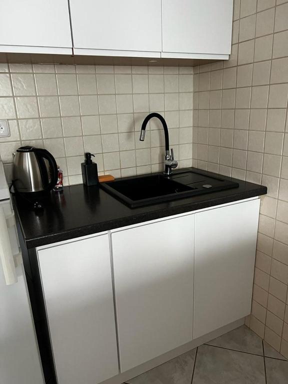 Kuchyňa alebo kuchynka v ubytovaní Delta Apart-House