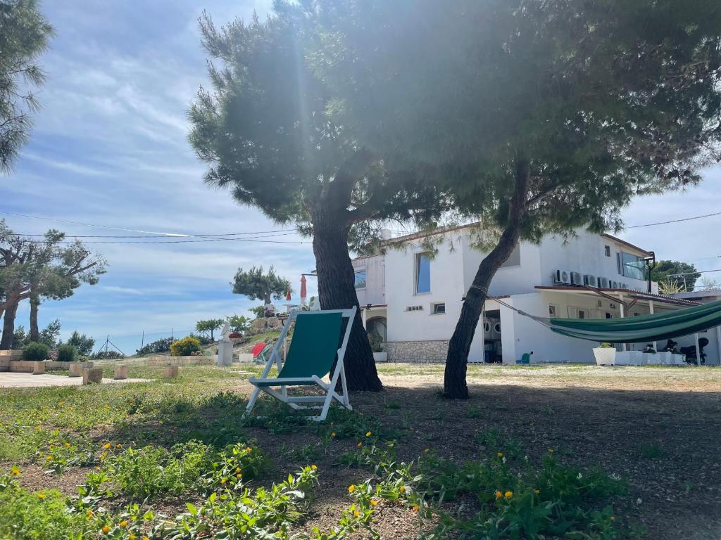 una silla verde y una hamaca bajo un árbol en Casa Vittoria, en Mattinata