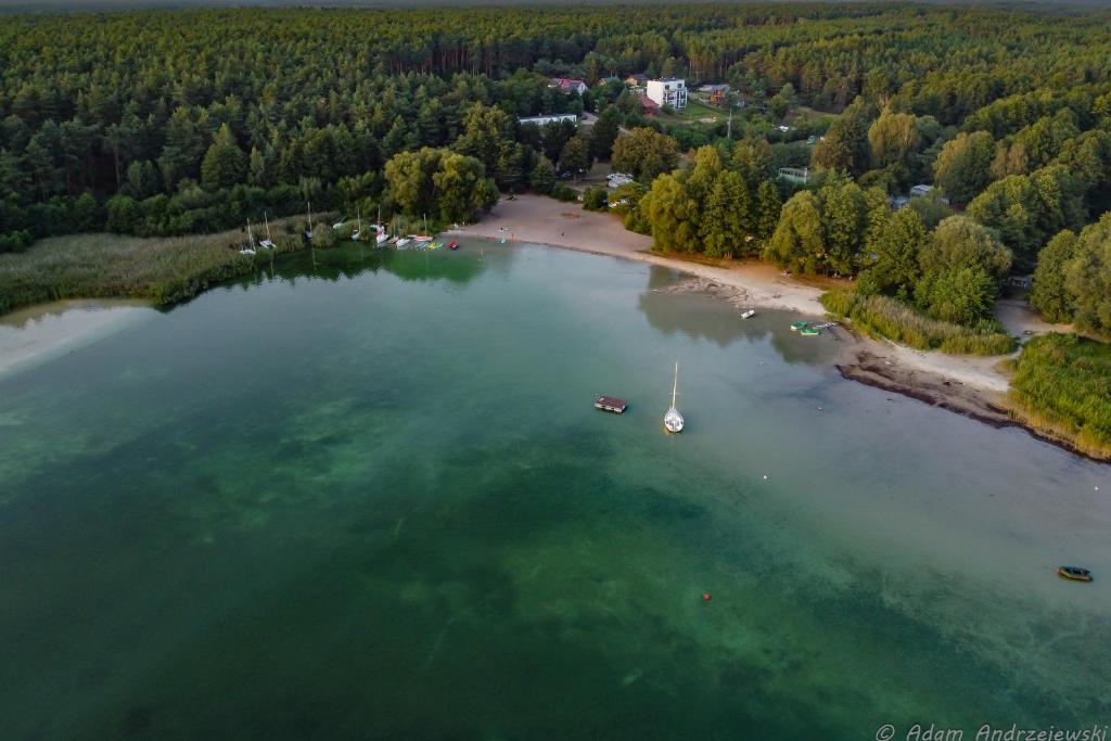 an aerial view of a lake with a boat in it at Tarasy Anastazewa in Anastazewo