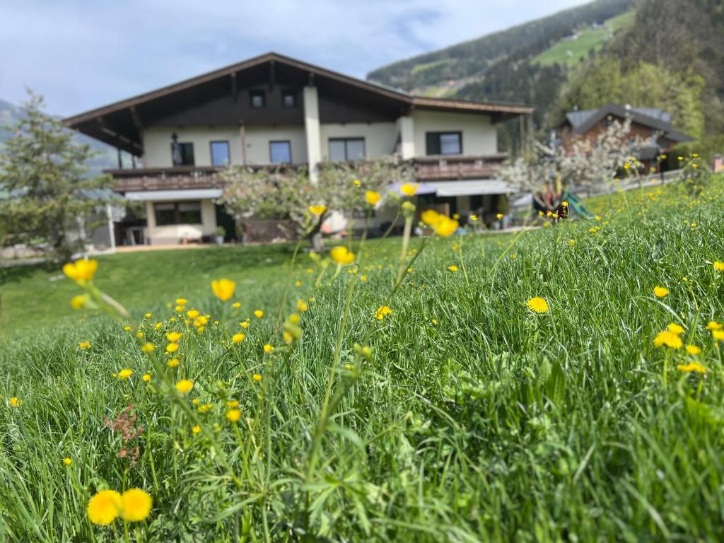 a field of yellow flowers in front of a house at Ferienwohnung Pendl in Ramsau im Zillertal