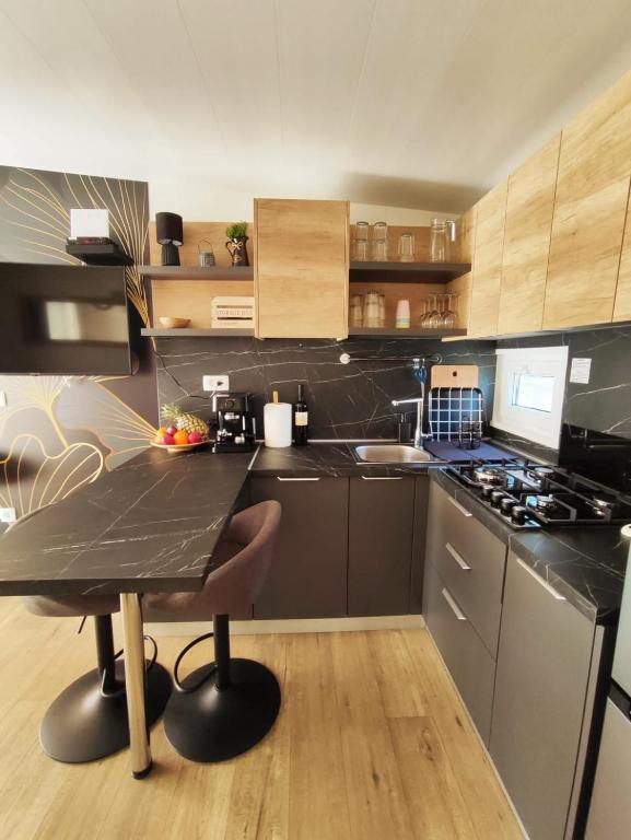Kuchyň nebo kuchyňský kout v ubytování Mobile home Kala