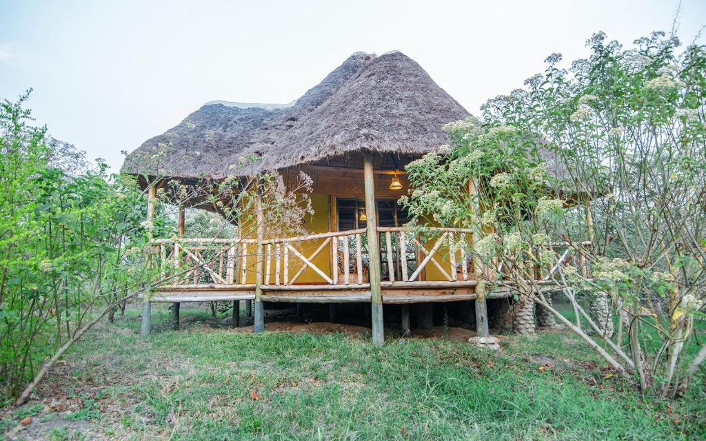 Zahrada ubytování Embogo Safari Lodges