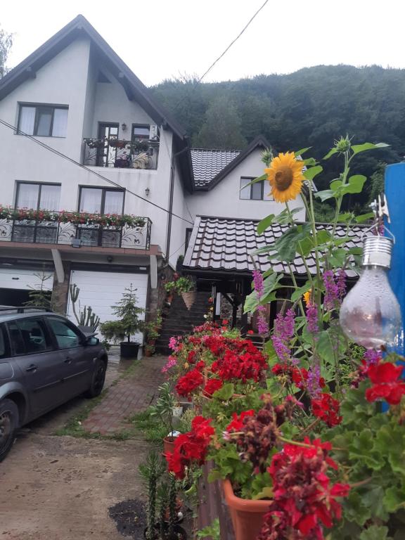 een huis met een bos bloemen ervoor bij Pensiunea Magura Ocnei in Tîrgu Ocna