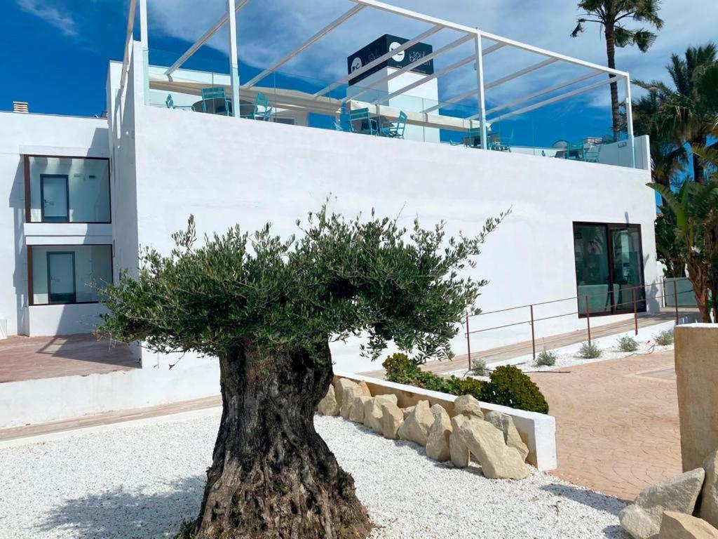 un albero di fronte a un edificio bianco di Soul Beach Hotel By Mc - Adults Recommended a Denia