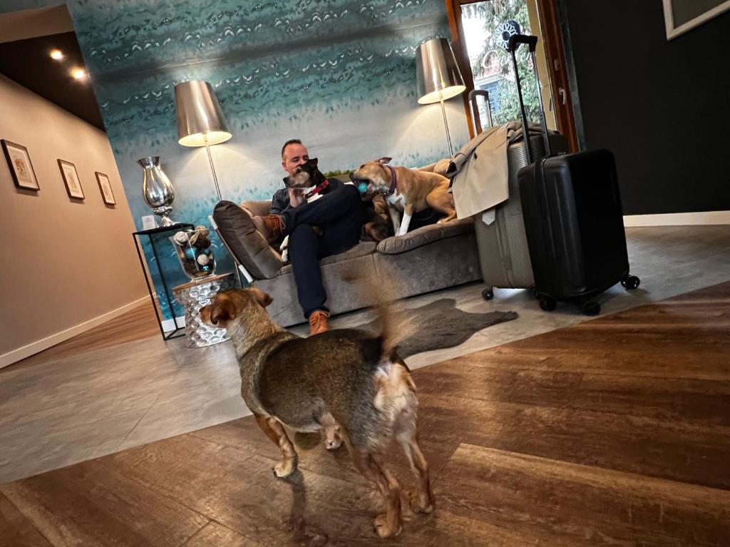 Margaréta Garden & SPA - Resim 35