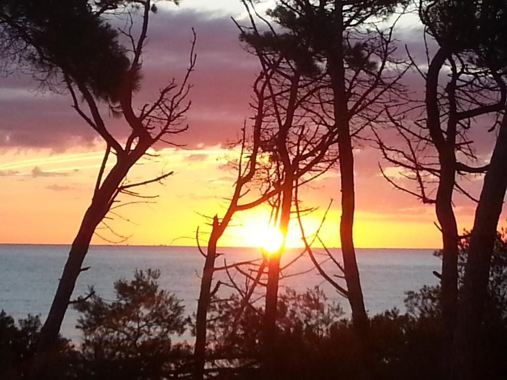 un coucher de soleil sur l'océan avec des arbres au premier plan dans l'établissement Beach House Casa Erica, à Ampurias