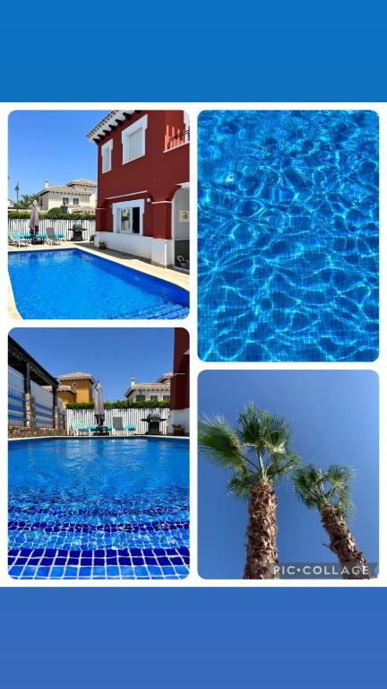 a collage of pictures of a swimming pool with a palm tree at Casa Gemela in Torre-Pacheco