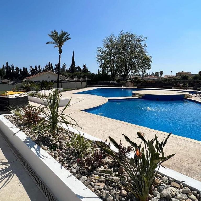 - une piscine avec des plantes dans une cour dans l'établissement St Cyprien Mobil home 6 personnes Linge inclus, à Saint-Cyprien