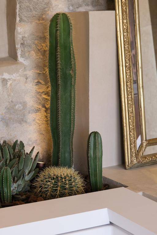 Fotografie z fotogalerie ubytování L'Abbaye Hôtel v destinaci La Colle-sur-Loup