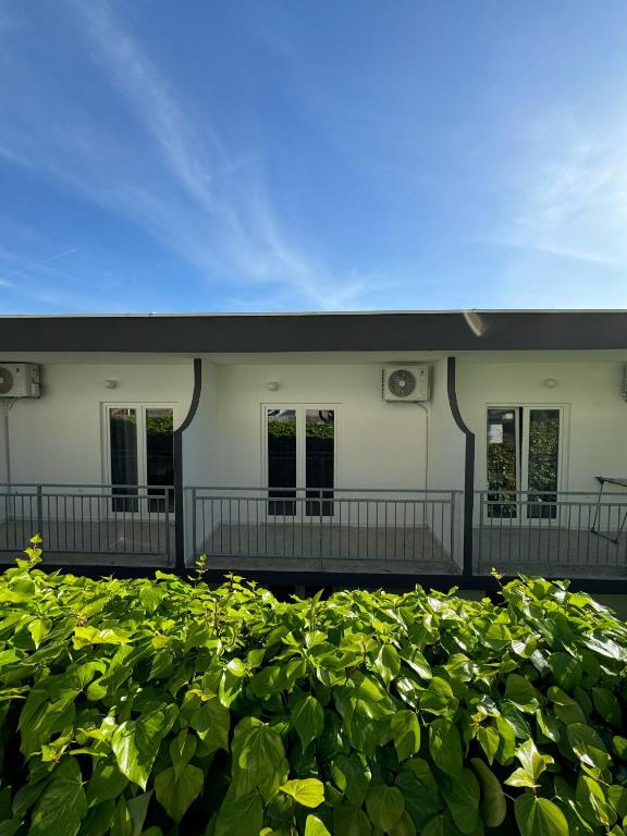 Taman di luar VILLA ŠIMOVIĆ APARTMENTS