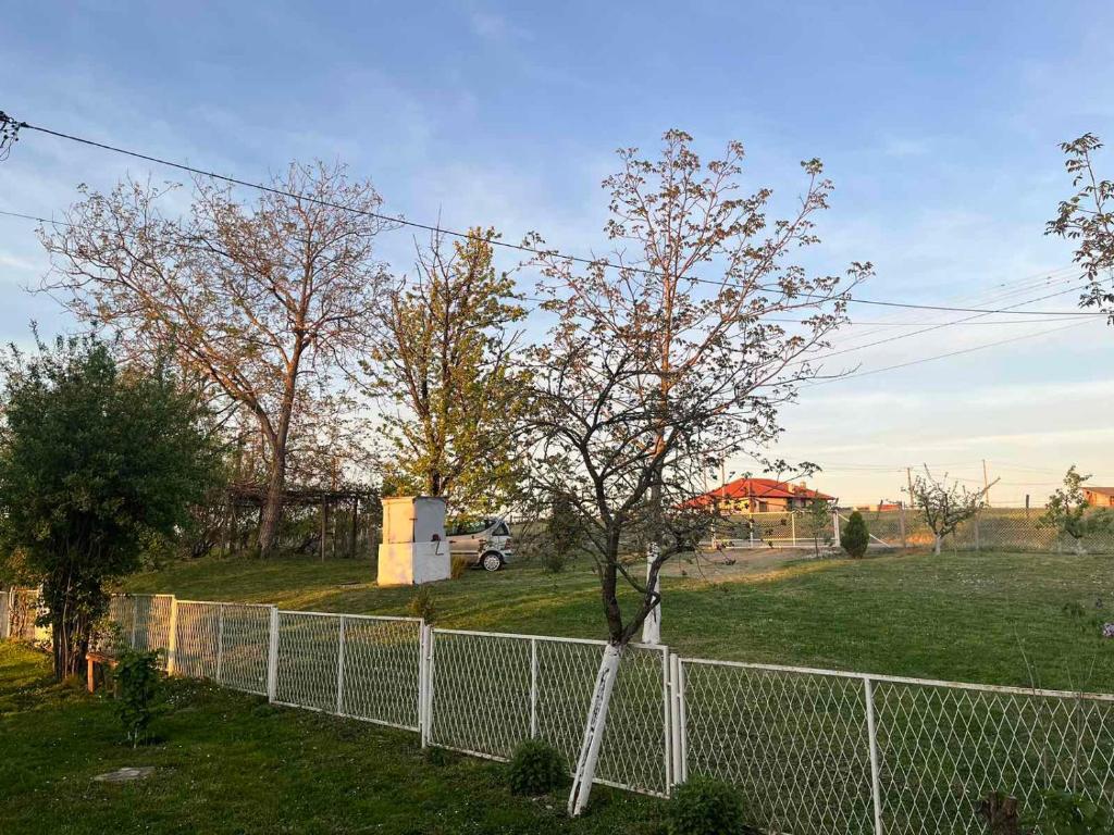 una cerca con un árbol al lado de un campo en Vikendica Živković, en Lazarevac