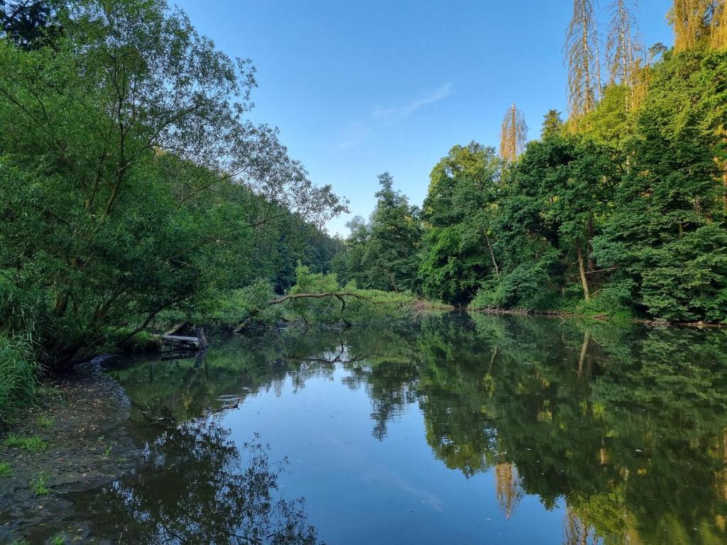 Paesaggio naturale nelle vicinanze di questo campeggio di lusso