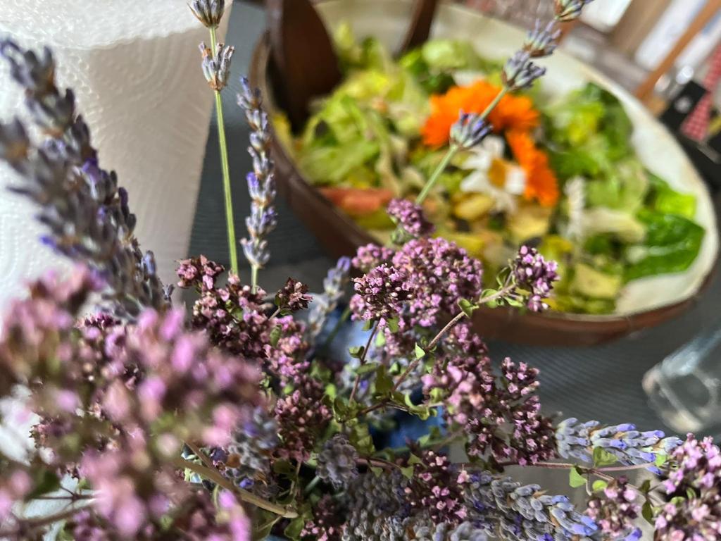 Cibo presso il campeggio di lusso o nelle vicinanze
