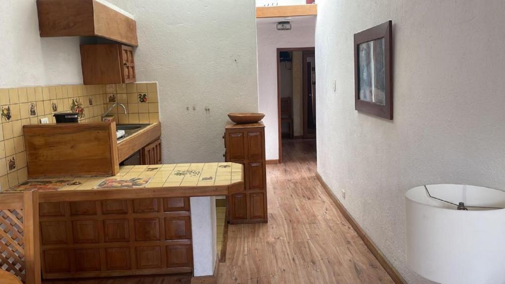Kuchyň nebo kuchyňský kout v ubytování Boutique Hotel Antinea