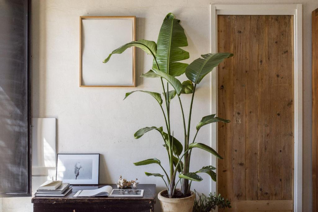 Fotografie z fotogalerie ubytování Casa Balat v destinaci Noto