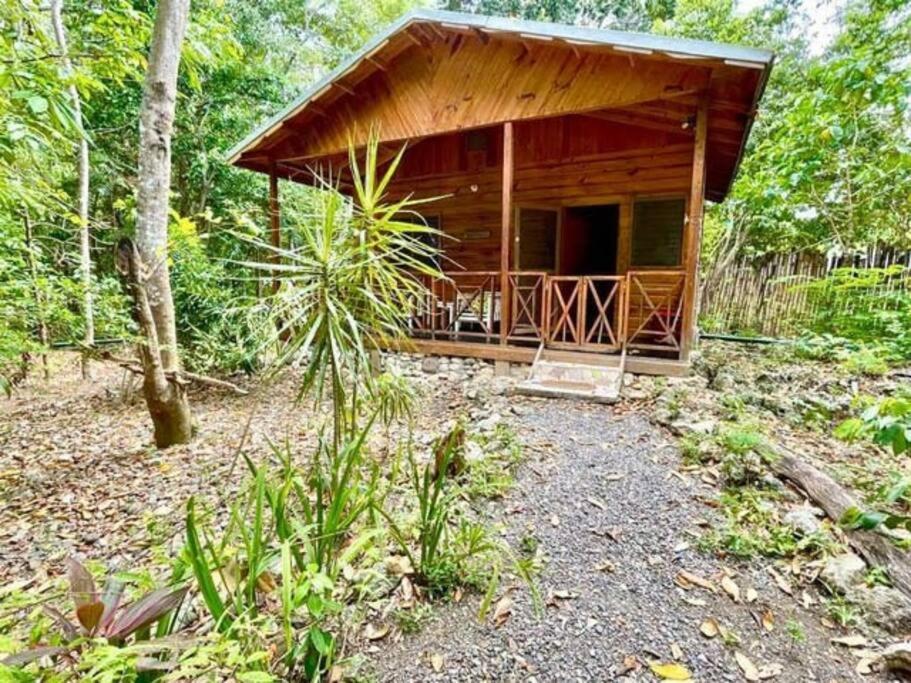 a small wooden cabin in the middle of a forest at Real Jamaica - Cabin right beside the sea-Papa Curvins Yard in Oracabessa