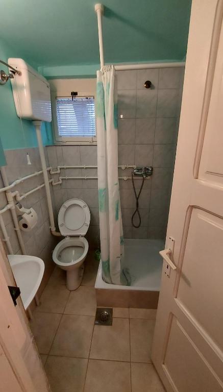 un piccolo bagno con servizi igienici e doccia di Domaćinstvo Jolović a Kraljevo