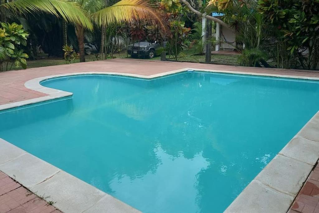 - une piscine d'eau bleue dans la cour dans l'établissement Beautiful House in front of the beach at Masca, Omoa, à Omoa