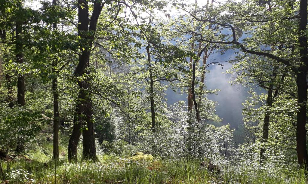 Paesaggio naturale nelle vicinanze di questo campeggio di lusso