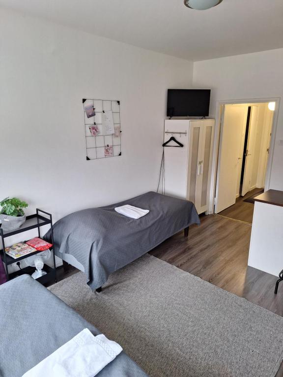 ポリにあるVarvinkatu apartmentのリビングルーム(ベッド2台、テレビ付)