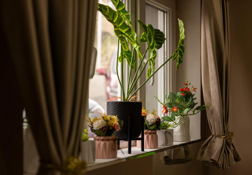 Fotografie z fotogalerie ubytování Hotel Grand Palace v destinaci Tbilisi City
