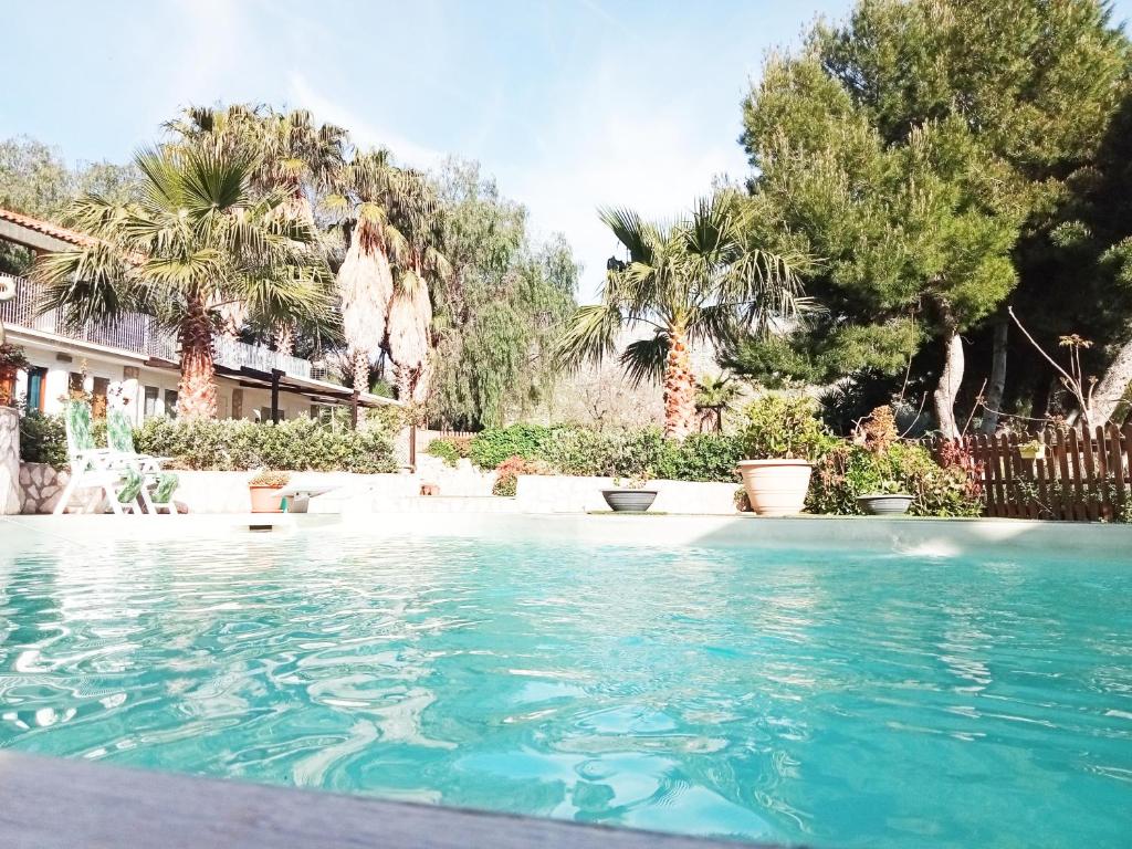 a swimming pool in a yard with palm trees at Appartamento•Palermo in Torretta