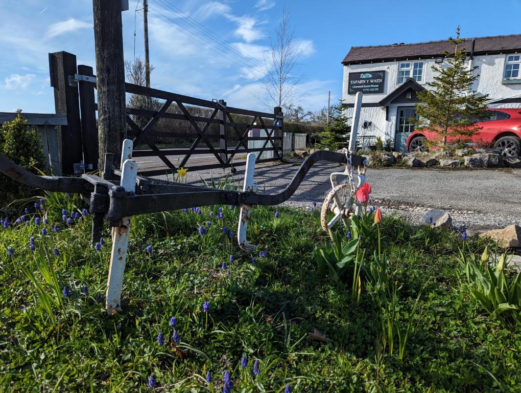 um banco de madeira sentado na relva com flores em Tafarn y Waen - Guesthouse em St Asaph