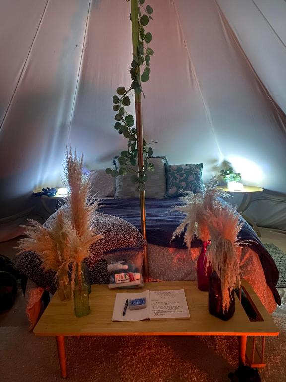 Fotografie z fotogalerie ubytování Lulu's Glamping Tents and Events with Exceptional River View v destinaci Palmer