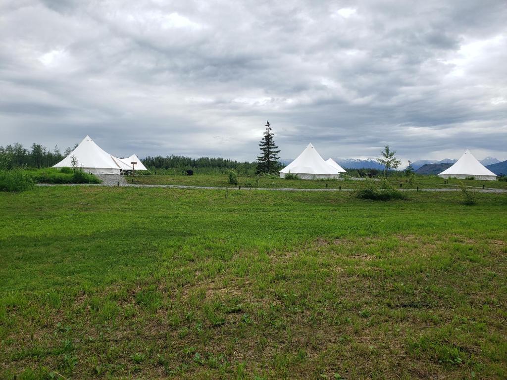 Příroda nedaleko luxury tent
