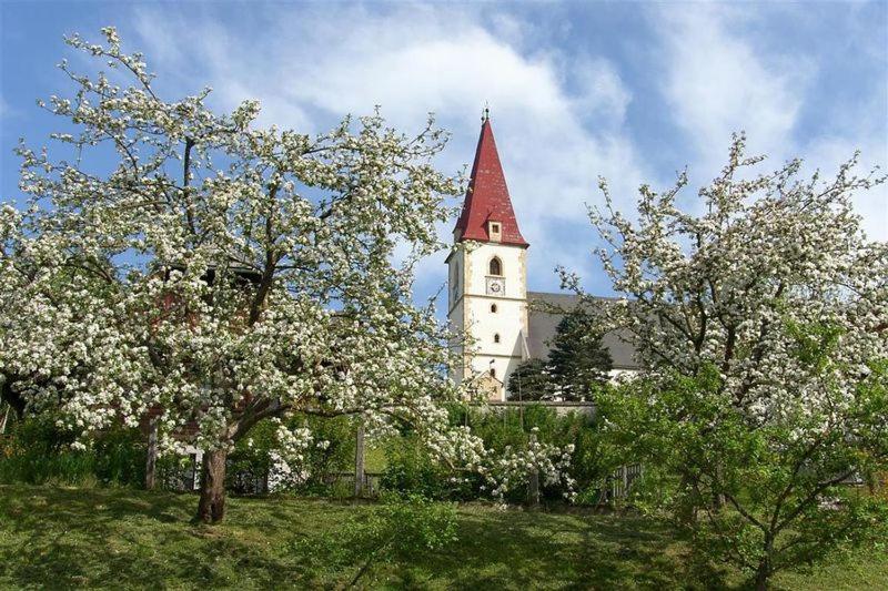 Zahrada ubytování Pension Kirchleitn