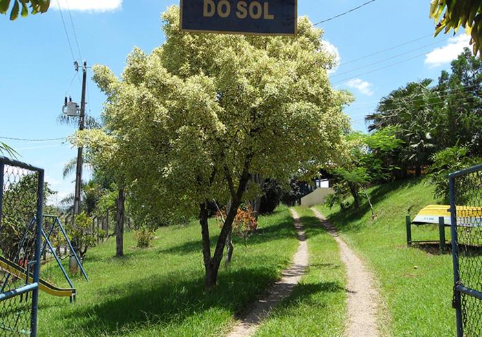 a tree in the middle of a field with a sign at Rancho Morada do Sol in Areado