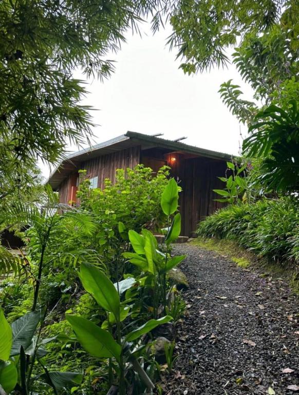 Zahrada ubytování El Toucanet Lodge & Restaurante