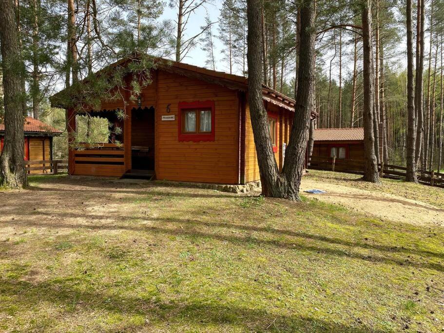 une petite cabine au milieu d'une forêt dans l'établissement Domek nad jeziorem Guzowy Piec, à Guzowy Piec
