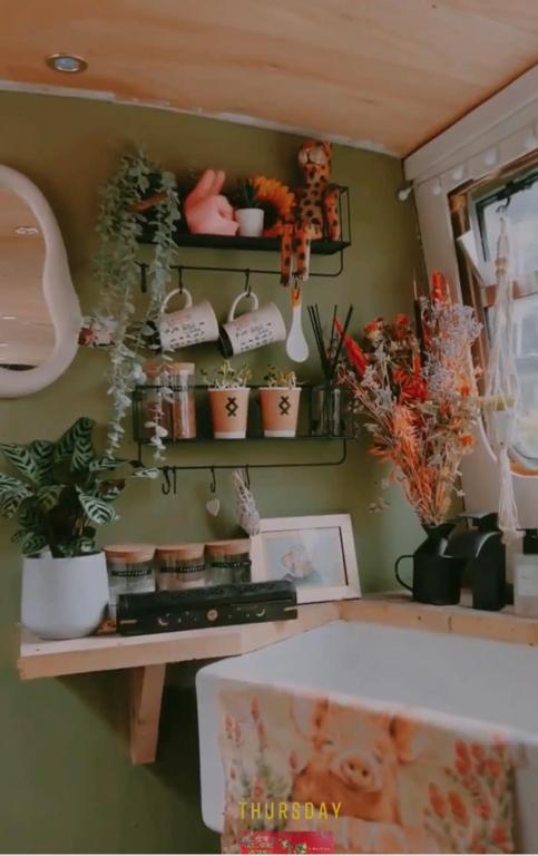 uma sala com prateleiras com plantas e vasos de plantas em Delightful 1970's Narrowboat em Londres