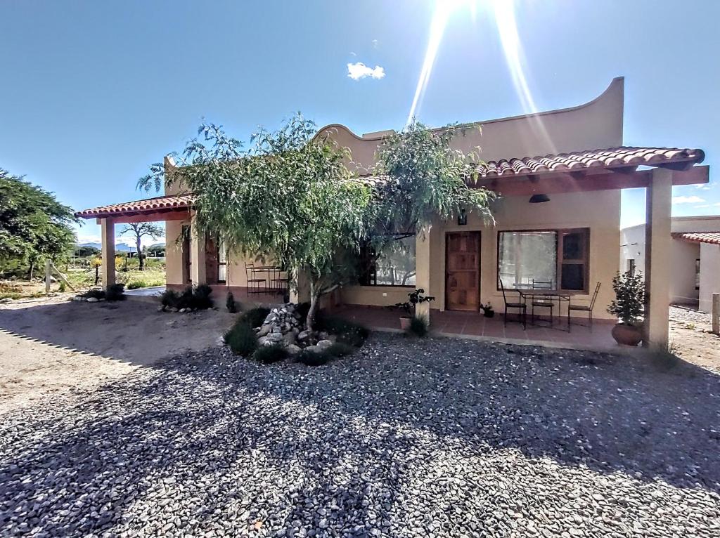 una casa con un árbol delante en Los Aromos 1 y 2, en Cafayate