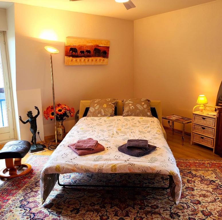1 dormitorio con 1 cama en una habitación en L&#39; Appart BELLE VUE GARE ET CENTRE 10 mn à pied GARAGE GRATUIT, en Colmar