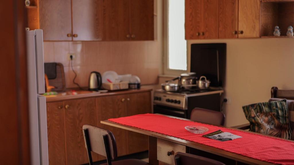 Kuchyň nebo kuchyňský kout v ubytování Shkodra Guest House & Trips