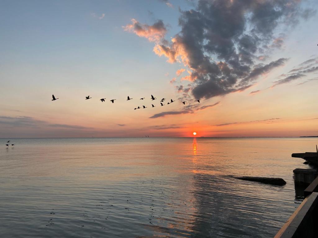 eine Herde Vögel, die bei Sonnenuntergang über dem Wasser fliegen in der Unterkunft Lake view cottage in Harrow