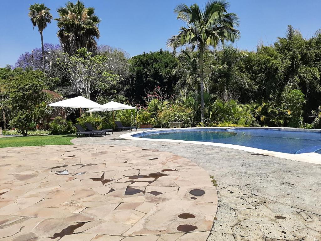 庫埃納瓦卡的住宿－Hotel Boutique Edén Cuernavaca，一座游泳池,旁边是一条石头走道