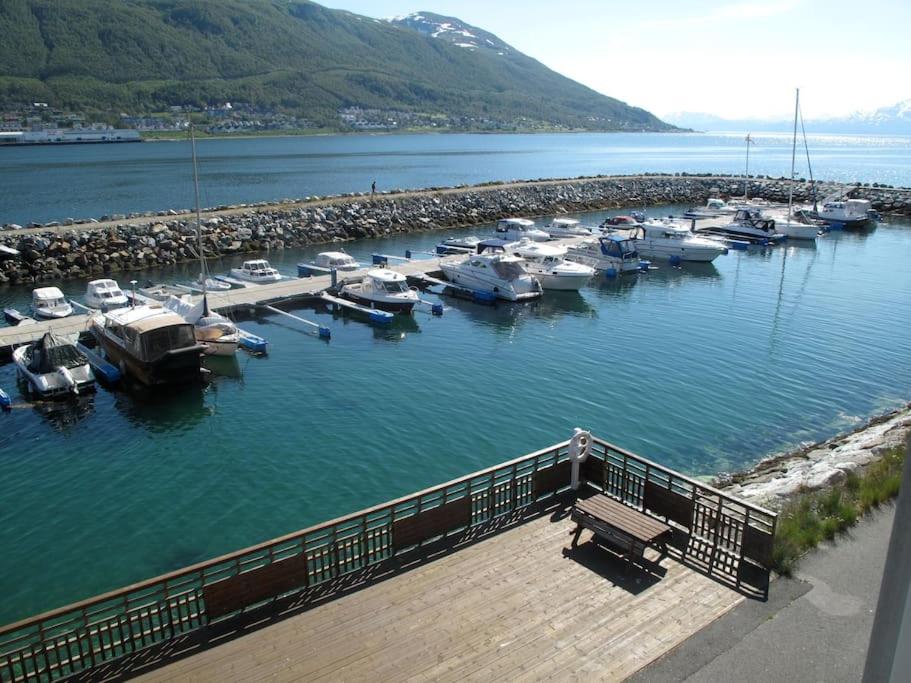 Kilka łodzi zakotwiczyło w przystani. w obiekcie 2 bedroom luxury apartment seafront, free pick up! w mieście Tromsø