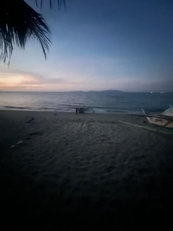una playa con una palmera y el océano en Da Arreglados’ Beach House, en Abra de Ilog