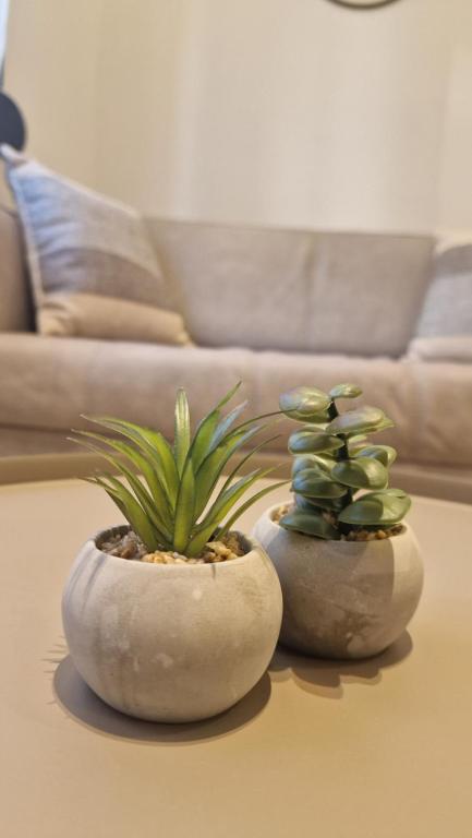 MELIGEO Suites Center of IOANNINA - 7