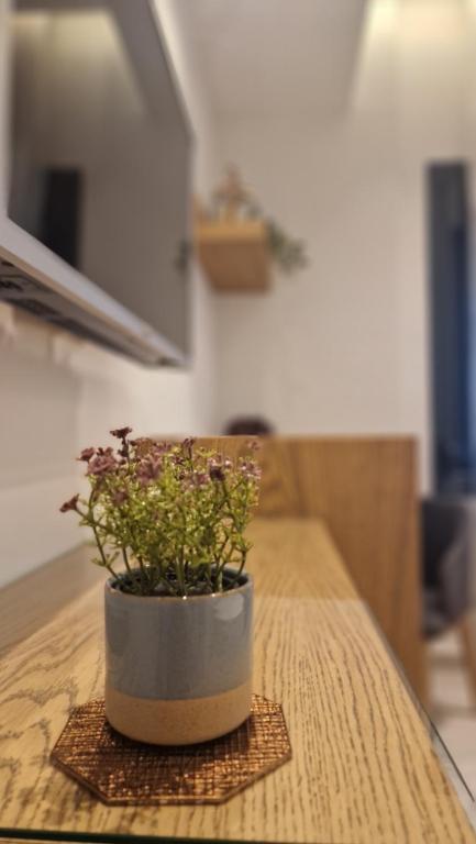 MELIGEO Suites Center of IOANNINA - Resim 43