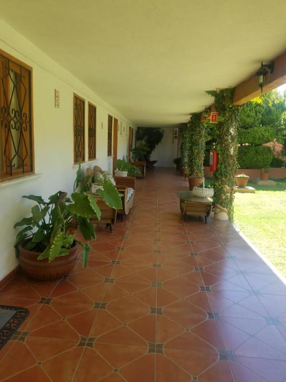 Zahrada ubytování Hotel Ollin Teotl