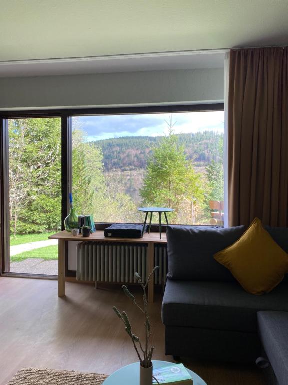 black forest apartments titisee - Two-Bedroom Apartment